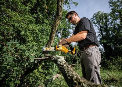 DeWalt DCMPS520P1 Grensåg 18V XR 20cm (1x5,0ah)