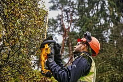 DeWalt DCMHT563P1 Häcksax 18V XR 55cm (1x5,0ah)