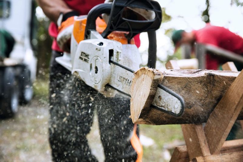 Stihl MSA 160 C-B Batteridriven motorsåg 36V 30cm (utan batterier)