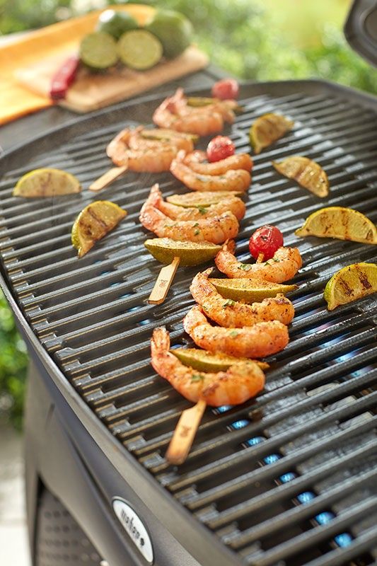 Weber Original Bambuspett 25-P