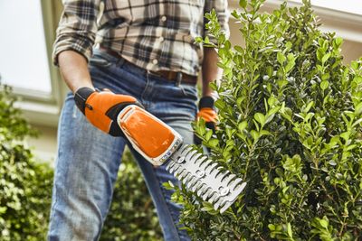 Stihl HSA 26 SET Buskhäcksax 10,8V 20 cm (1x AS 2 + ALS 31)