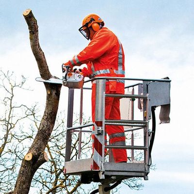 Stihl MS 201 TC-M Motorsåg 30 cm 3/8"P