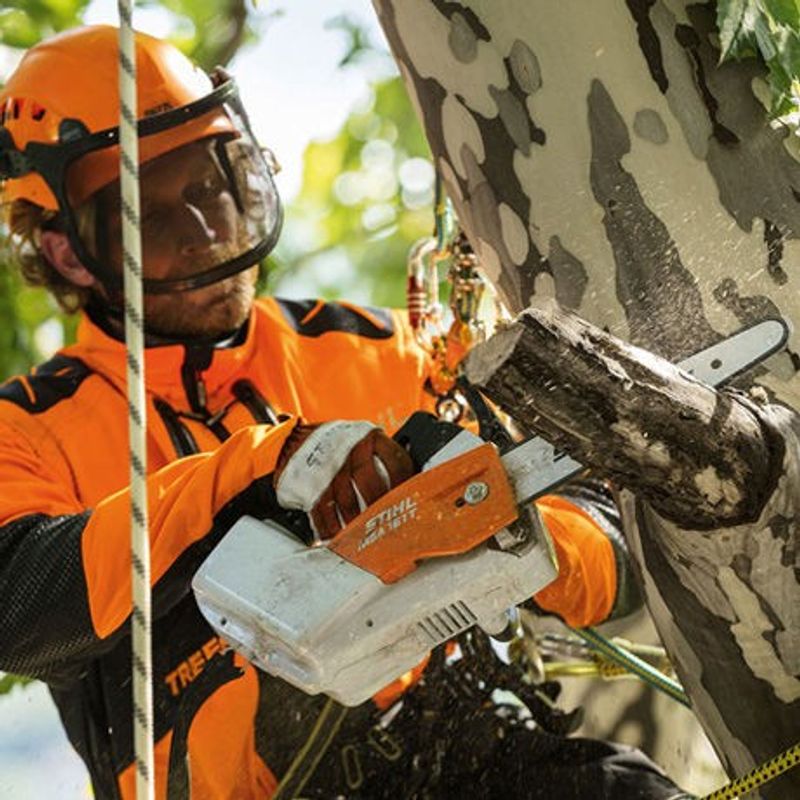 Stihl MSA 161 T Batterisåg 30cm 36V (utan batterier)