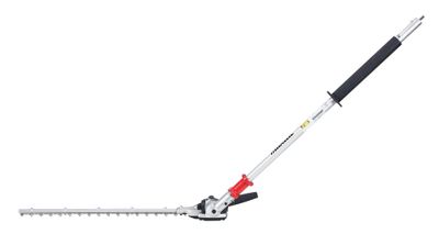 1fjwk6GCkEmYops1776246078