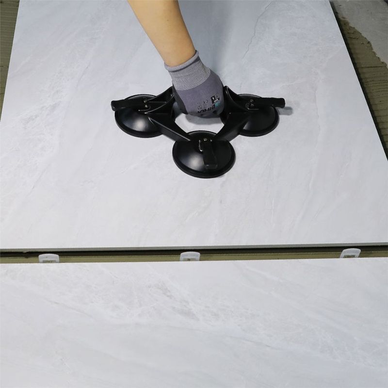 Bihui Plattlyft Tre Sugkoppar 80KG