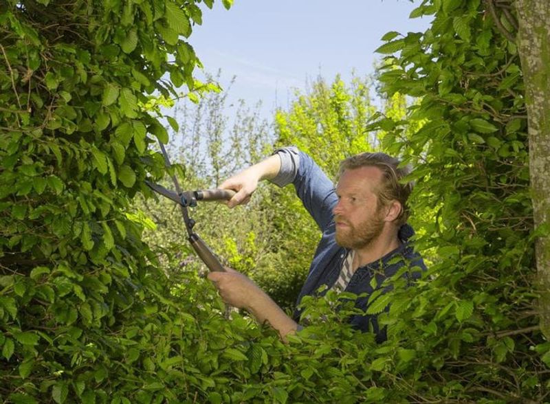 Gardena 12300-20 NatureCut Häcksax 230mm