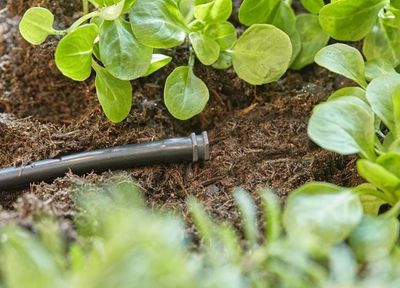 Gardena 13215-20 Micro-Drip-System Plugg 4,6 mm (3/16") x10