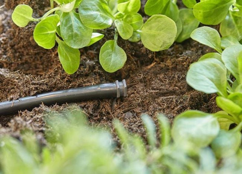 Gardena 13215-20 Micro-Drip-System Plugg 4,6 mm (3/16") x10