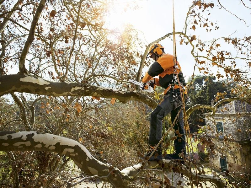 Stihl MS 151 TC-E Motorsåg 1kW (25cm)