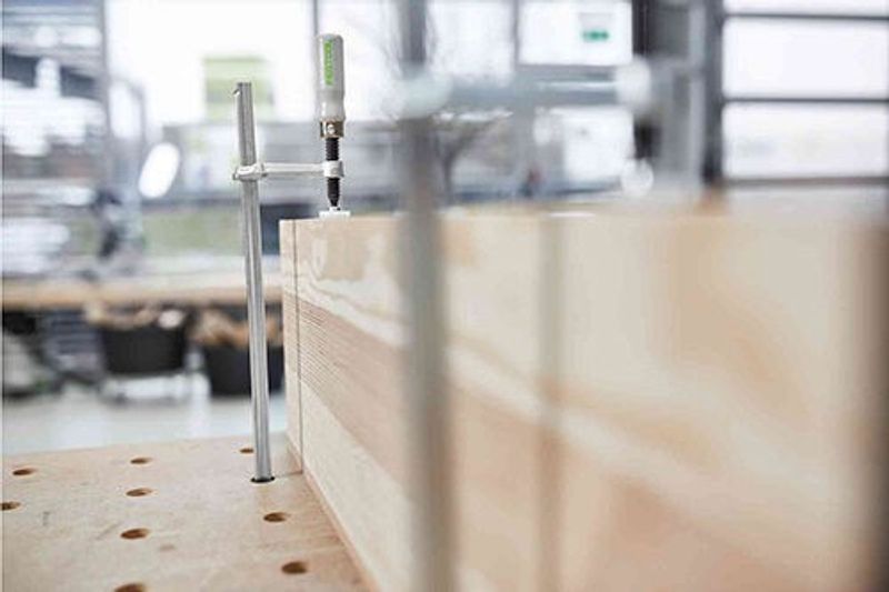 Festool Skruvtving FSZ 300 (2-P)