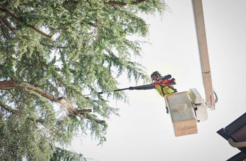 Milwaukee FTPS30-0 M18 FUEL Teleskopisk Stångsåg 30cm – utan batteri och laddare