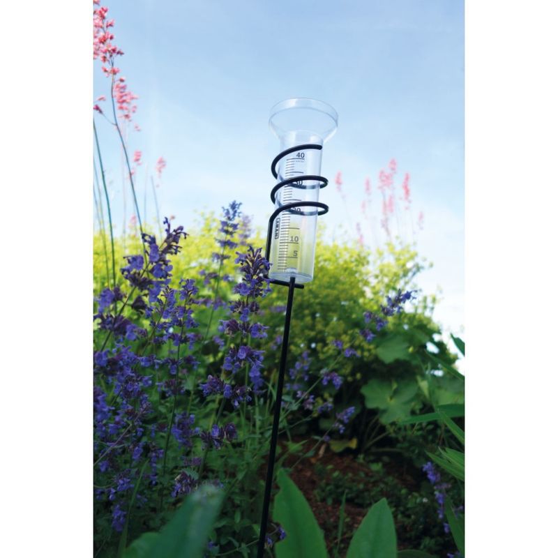Nyby Regnmätare Spiral Svart Transparent Glas