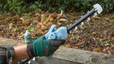 Bosch AdvancedHedgeCut 36V-65-28 Häcksax (utan batterier)
