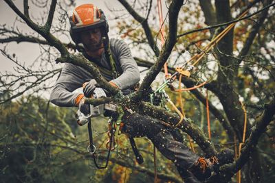 Stihl GTA 40 Batteridriven Grenkap 15cm 21,6V (2x2,6ah)