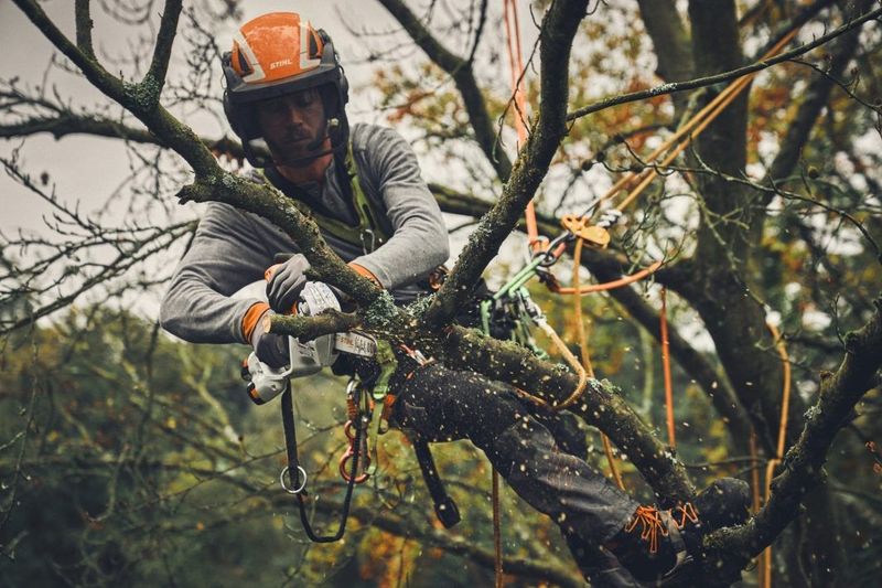 Stihl GTA 40 Batteridriven Grenkap 15cm 21,6V (2x2,6ah)