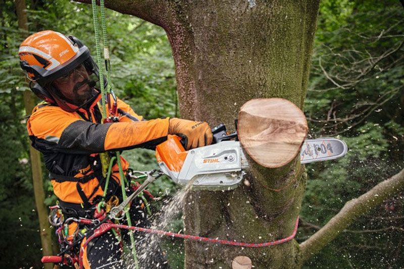 Stihl MSA 220 TC-O Batteridriven kedjesåg 30cm 36V (utan batterier)