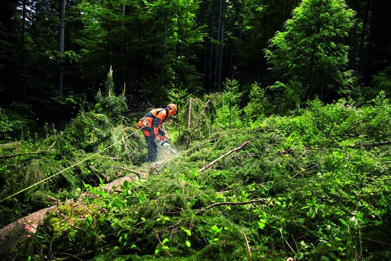 Stihl MS 362 C-M WV Motorsåg 40cm 1,6mm 3/8"