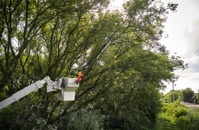 Milwaukee FTPS30-0 M18 FUEL Teleskopisk Stångsåg 30cm – utan batteri och laddare