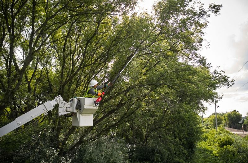 Milwaukee FTPS30-0 M18 FUEL Teleskopisk Stångsåg 30cm – utan batteri och laddare