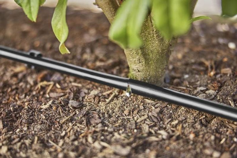 Gardena 13500-20 Micro-Drip Startset Buskar/Häckar (25 m)