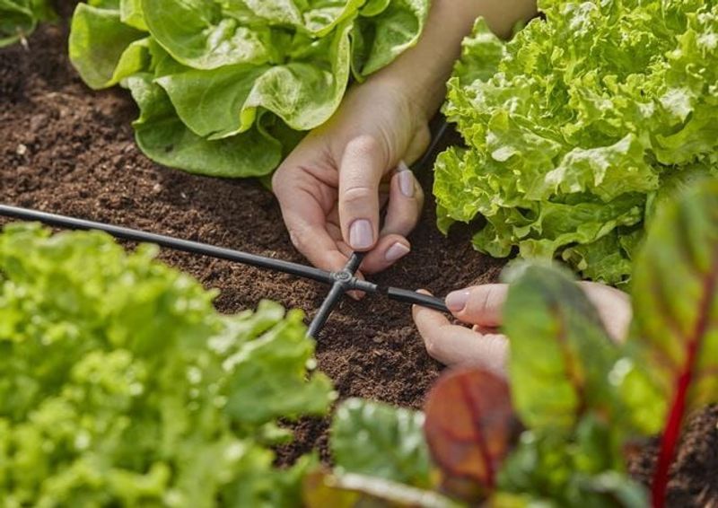 Gardena 13214-20 Micro-Drip-System Krysskoppling 4,6 mm (3/16") x10