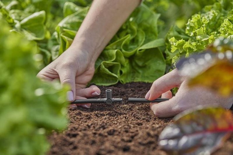 Gardena Micro-Drip-System T-koppling med spridarfäste 4,6 mm (3/16") x10