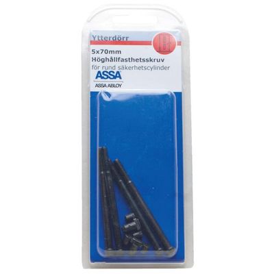 ASSA Höghållfasthetsskruv 80mm SB