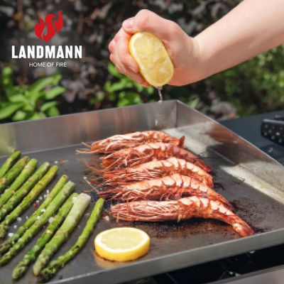 Landmann Stekbord plancha 40x39cm Stainless steel