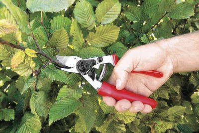 Stihl Sekatör FELCO F2
