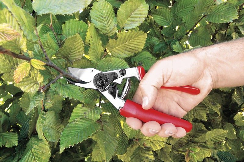 Stihl Sekatör FELCO F2