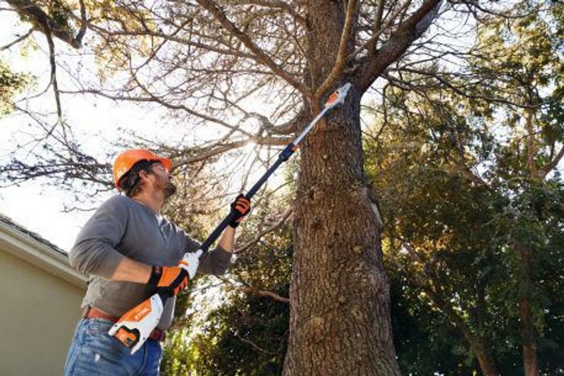 Stihl HTA 50 Kvistsåg 25cm utan batterier