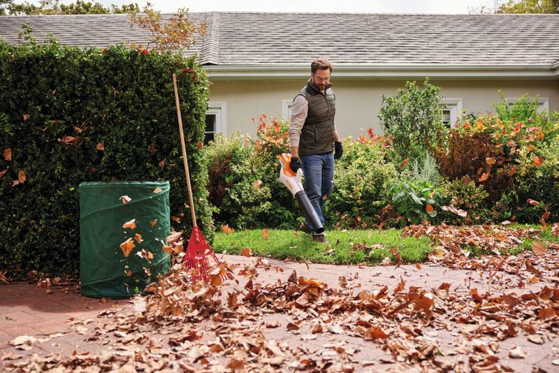 STIHL BGA 50 blåsaggregat inkl. AK 20-batteri och AL 101-laddare