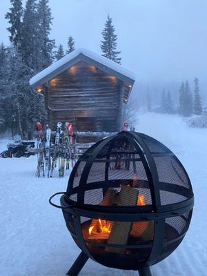 WQfNpdVeVy3g65y1772029231