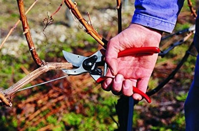 Felco 2 Ikonisk Sekatör – Hög Kvalitet och Hållbarhet