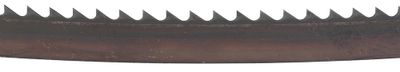 B-16667_F_001