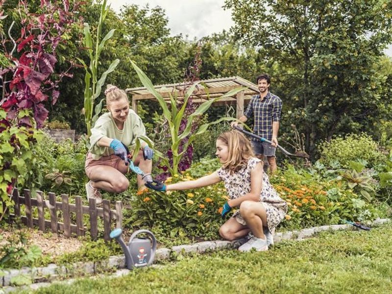 Gardena 11501-20 Trädgårdshanske stl 8/M