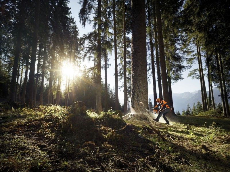 Stihl MS 661 C-M W Motorsåg 3/8" 71cm