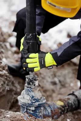 X1Umu0qFkeIrfwO1771598422