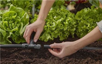 Gardena 1347-20 Micro-Drip-System Anläggningsrör 50m 1/2"