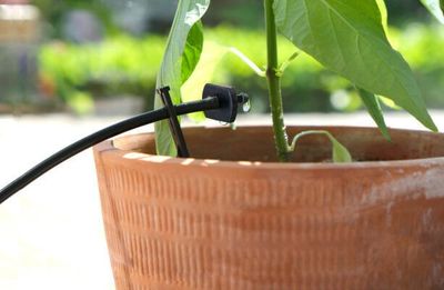 GreenLine EcoAqua S24 – Solcellsdrivet droppbevattningssystem