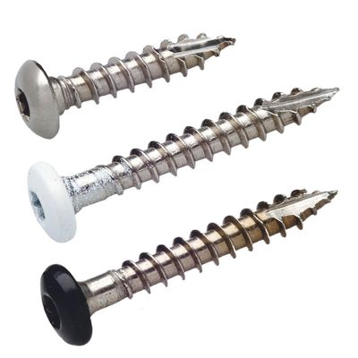 FAST Rännkroksskruv A2 T20