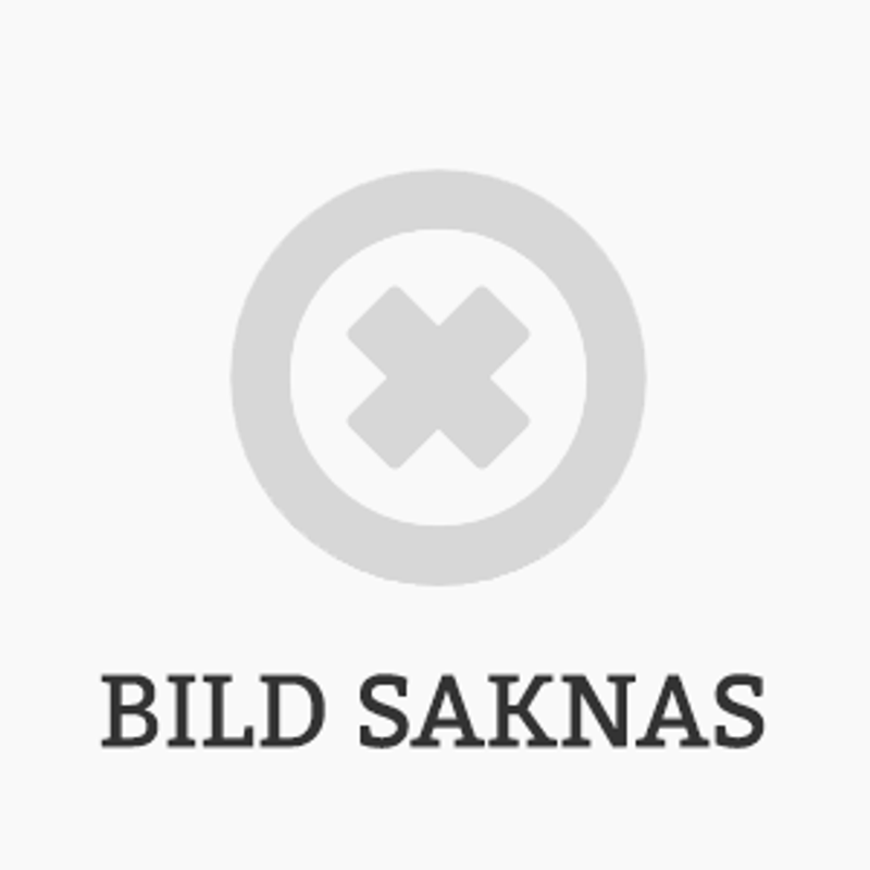 Sthemma spånborste zip 22
