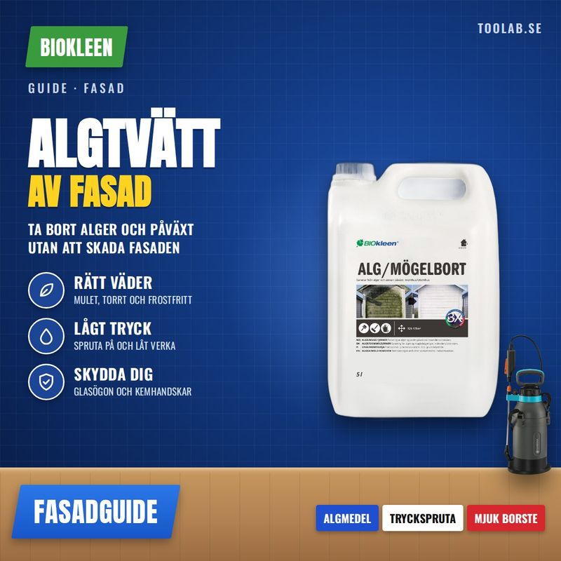 Algtvätt av fasad – så tar du bort alger och påväxt