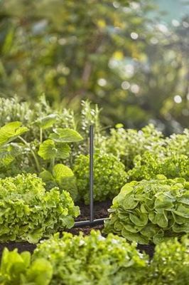 Gardena 13326-20 Micro-Drip-System Förlängningsrör 24cm för spridarmunstycken 5st