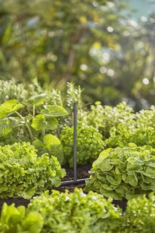 Gardena 13326-20 Micro-Drip-System Förlängningsrör 24cm för spridarmunstycken 5st