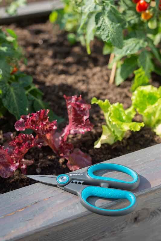 Gardena HerbCut Örtsax 12214-20