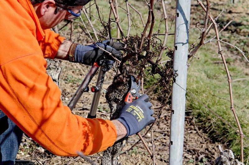 Bahco PX-L2 Sekatör – Ergonomisk och precisionssäker