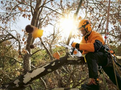 Stihl MS 151 TC-E Motorsåg 1kW (25cm)