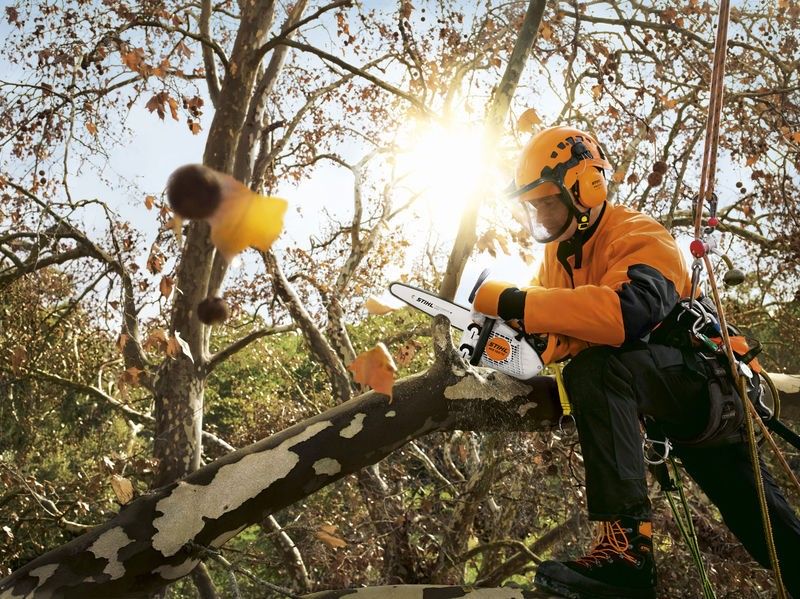 Stihl MS 151 TC-E Motorsåg 1kW (25cm)