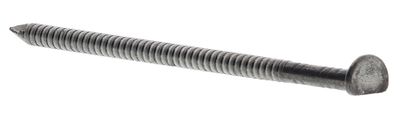 164404